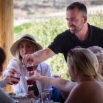 Mykonos: Winery Vineyard Experience with Food & Wine Tasting - What the Tour Looks Like