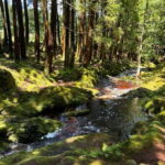 Mystery Tour of Terceira Island - Who Should Consider This Tour?