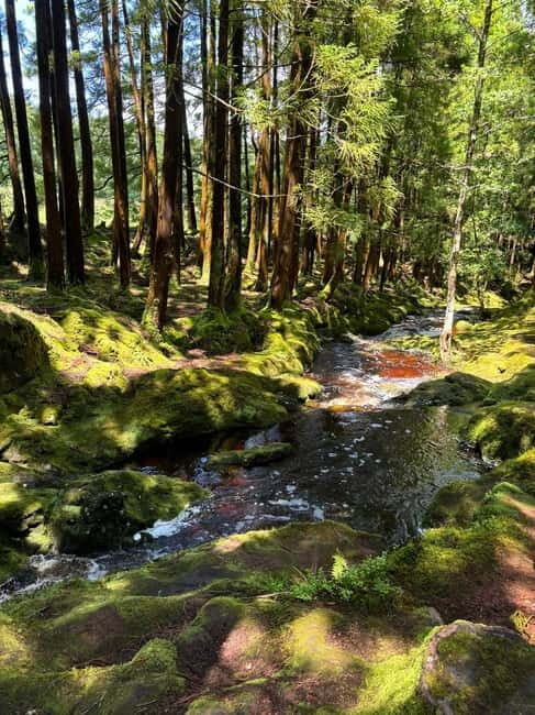 Mystery Tour of Terceira Island - Who Should Consider This Tour?