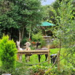 N. Ireland: Award Winning Guided Scenic Alpaca Trekking - Who Should Consider This Tour?