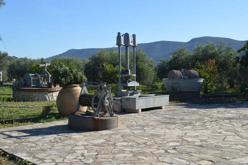 Nafplio: Olive Oil Estate Tour and Tasting - The Value of This Tour