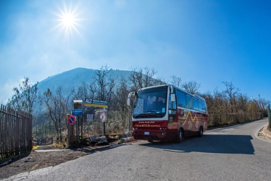Naples Bus Excursion: Explore Vesuvius On Your Own - Who Should Consider This Tour?