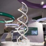 Naples: Città della Scienza Interactive Museum Entry Ticket - Key Points