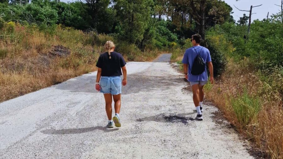 Naples: E-Bike Rental on Mount Vesuvius - The Value and Who This Tour Suits Best