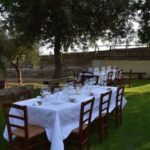 Naples: winery tour & wine tasting on Astroni crater - Who Will Love This Tour?