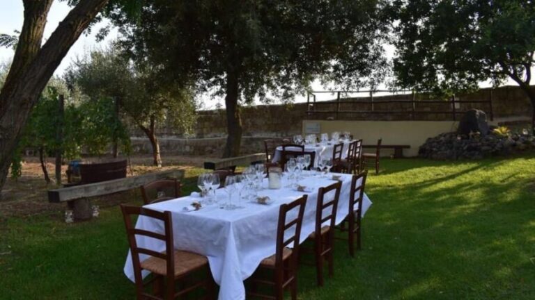 Naples: winery tour & wine tasting on Astroni crater - Who Will Love This Tour?