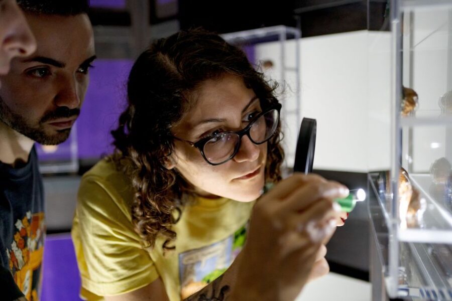 Napoli: Museodivino Entrance Ticket and Guided Tour - The Practicalities: What Travelers Should Know