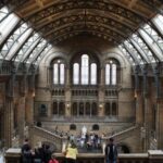 Natural History Museum e Kensington Garden - The Value of This Tour