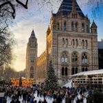 Natural Museum Tour: Volcanoes, Earthquakes, Blue Whale - Practical Details and Considerations