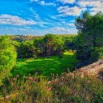 Nature Highlights Private Walking Tour with Transport - Discovering Malta’s Natural Gems