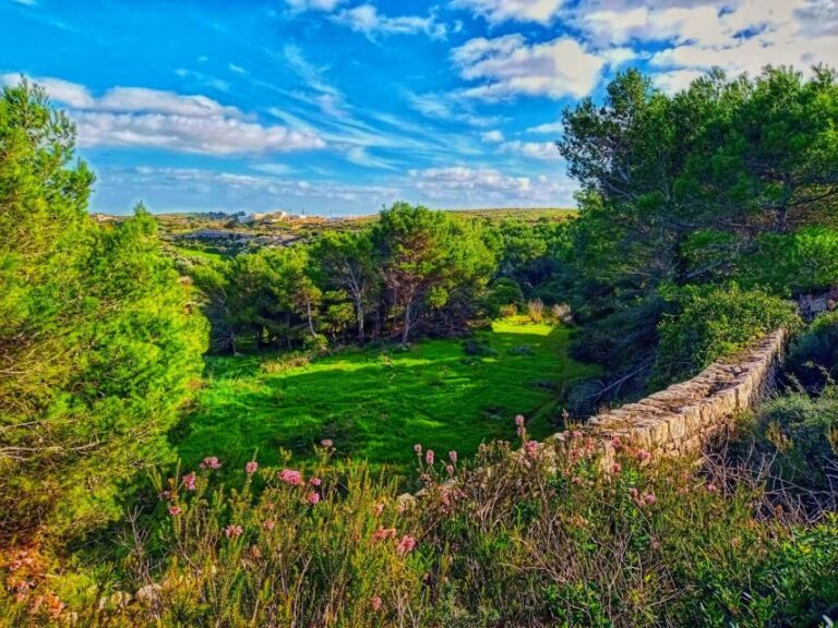 Nature Highlights Private Walking Tour with Transport - Discovering Malta’s Natural Gems