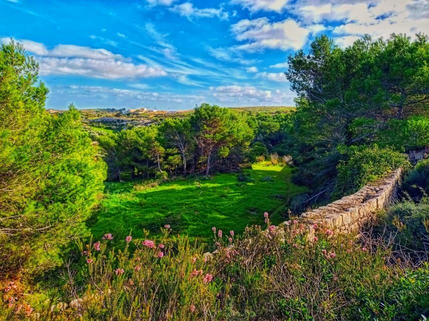 Nature Highlights Private Walking Tour with Transport - Discovering Malta’s Natural Gems