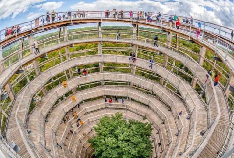 Naturerbe Zentrum Rügen & Treetop Walk Experience - The Sum Up