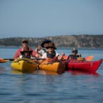 Navarino Bay: Sea Kayaking with Lunch - An In-Depth Look at the Navarino Bay Sea Kayaking Tour