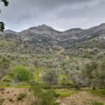 Naxos: Countryside hike among villages & Byzantine churches - Who Would Love This Tour?