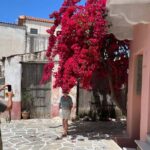 Naxos: Island Tour with Private Car and Driver - Starting with the Olive Oil Heritage in Eggares