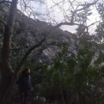 Naxos: Mystical Gorge & Hidden Waterfall Escape - What Makes This Tour Stand Out?