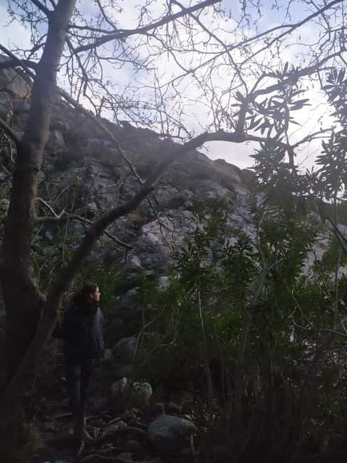 Naxos: Mystical Gorge & Hidden Waterfall Escape - What Makes This Tour Stand Out?