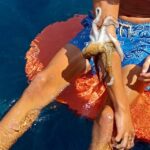 Naxos: Private Fishing Boat Trip with Fresh Onboard Meal - Who Is This Tour Best For?