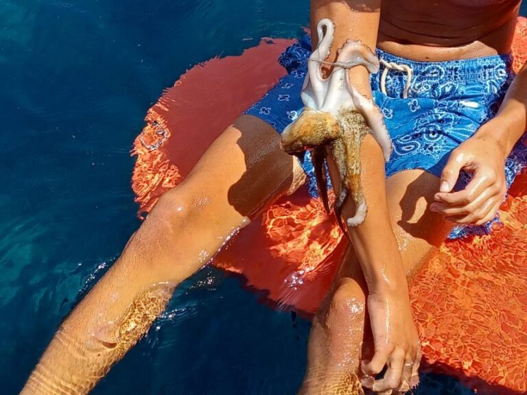 Naxos: Private Fishing Boat Trip with Fresh Onboard Meal - Who Is This Tour Best For?