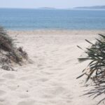 Naxos: Private Minibus Rental with an Experienced Driver - Who Will Love This Experience?