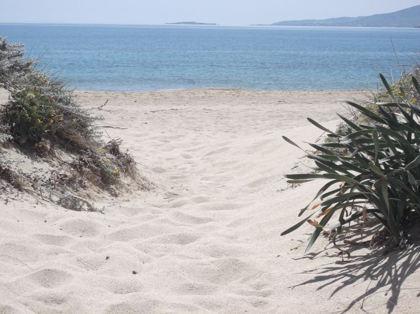 Naxos: Private Minibus Rental with an Experienced Driver - Who Will Love This Experience?