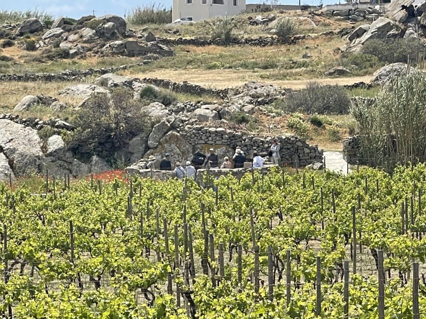 Naxos: Private Vineyard Tour & Wine Tasting with an Expert - The Logistics and Practical Details