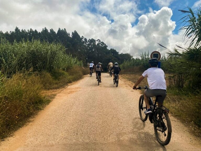 Nazaré - Óbidos E-bike and Wine tour - Practical Details and What to Expect