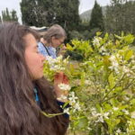 Near Cagliari: Wild Herbs and Healing at "In Our Garden" - Why This Tour is Worth Considering