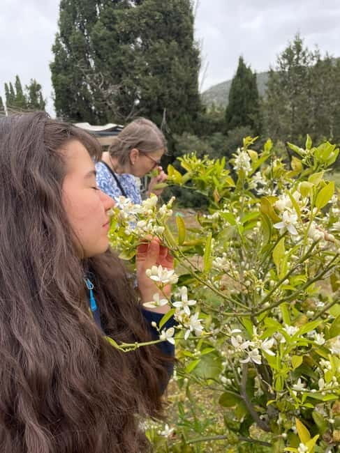 Near Cagliari: Wild Herbs and Healing at "In Our Garden" - Why This Tour is Worth Considering