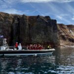 Neskaupstaður: RIB Boat Tour with Drink - Exploring Páskahellir Sea Cave