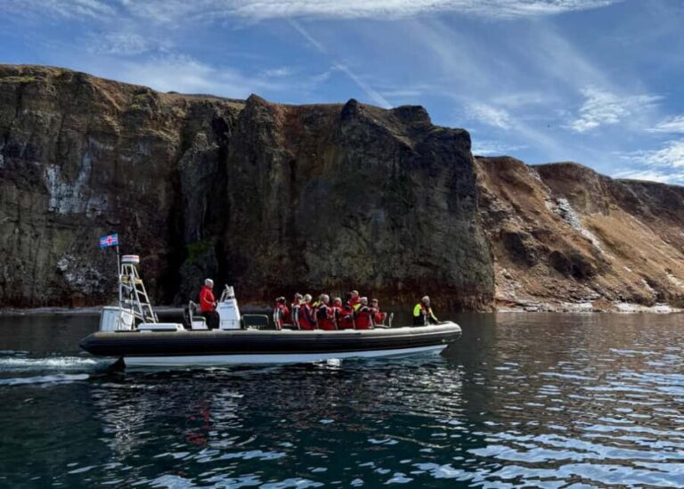 Neskaupstaður: RIB Boat Tour with Drink - Exploring Páskahellir Sea Cave