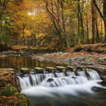 Newcastle: Game of Thrones - Tollymore Forest Trek - What You Can Expect from the Trek