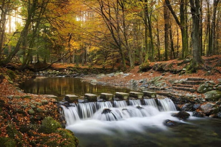Newcastle: Game of Thrones - Tollymore Forest Trek - What You Can Expect from the Trek