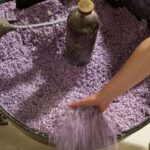 Nice: A Day in the Countryside from Glamour to Authenticity - Who Should Consider This Tour?