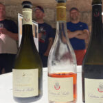 Nice: Bellet Vineyards E-Bike Tour with Wine Tasting - Who Will Love This Tour?