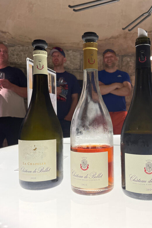 Nice: Bellet Vineyards E-Bike Tour with Wine Tasting - Who Will Love This Tour?