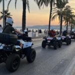 NICE BY ELECTRIC QUAD:panoramic tour from Nice - What Makes This Tour Stand Out?