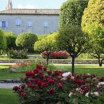 Nice City, Villefranche sur Mer and Wine Tasting - Transportation and Group Size