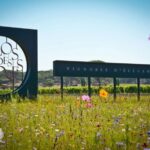 Nice: Clos des Roses wine tasting and lunch - Who Will Love This Tour?