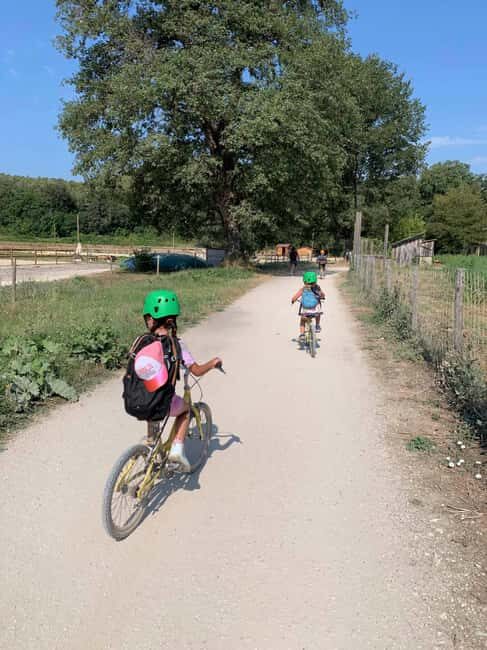 Nice: Discovery tree climbing for children in a natural setting - FAQ