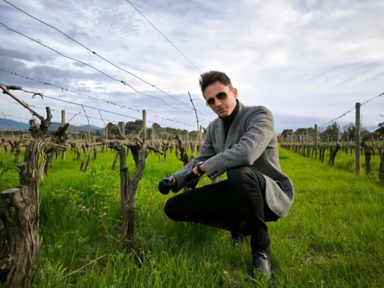 Nice: Full Day Trip Private Wine Tour (Cremat and more) - Who is This Tour Best For?