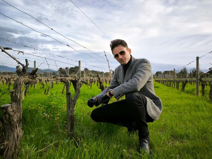 Nice: Full Day Trip Private Wine Tour (Cremat and more) - Who is This Tour Best For?