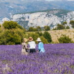 Nice: Gorges of Verdon and Fields of Lavender Tour - Who Will Love This Tour?