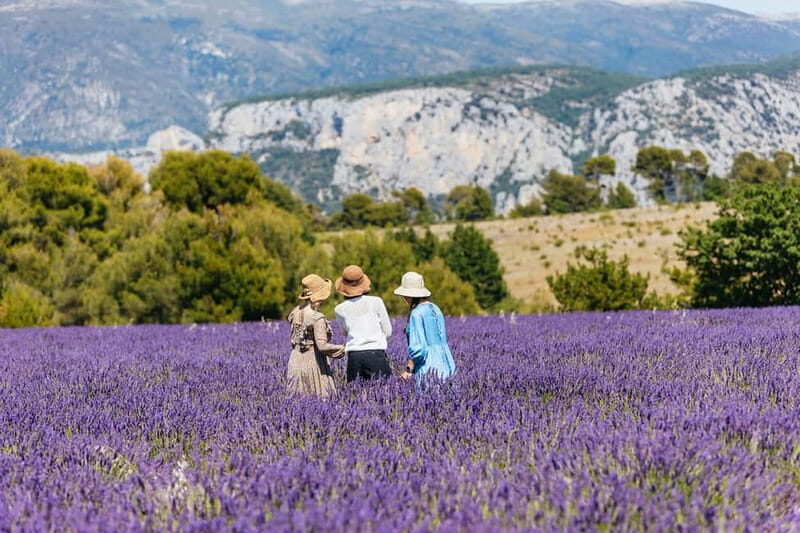 Nice: Gorges of Verdon and Fields of Lavender Tour - Who Will Love This Tour?