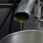 Nice: Provence Village Tour with Wine and Produce Tasting - Transportation & Group Size