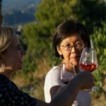 Nice: Vineyard Tour with Wine Tasting - Transport Options and Accessibility