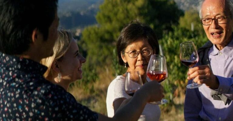 Nice: Vineyard Tour with Wine Tasting - Transport Options and Accessibility