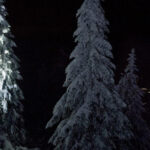 Night Snowshoeing Lapland Experience - The Practical Side: Details That Matter