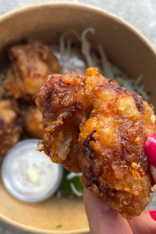 NoDietClub - A selection of the best Japanese food in Paris - Final Thoughts: Who Is This Tour Best For?